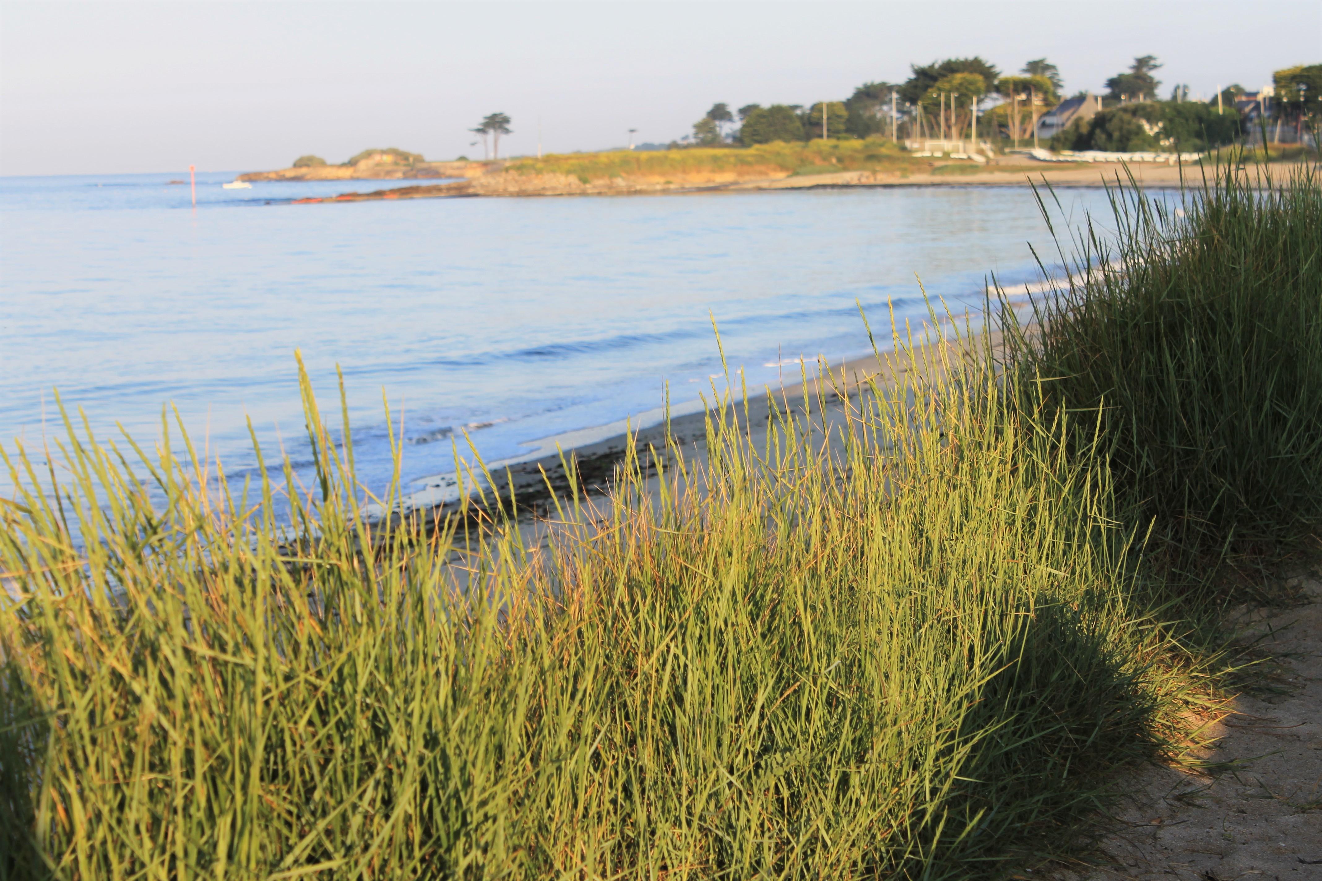 Logis Hotel & Restaurant Les Mouettes - Larmor Plage, Proche De Lorient Esterno foto