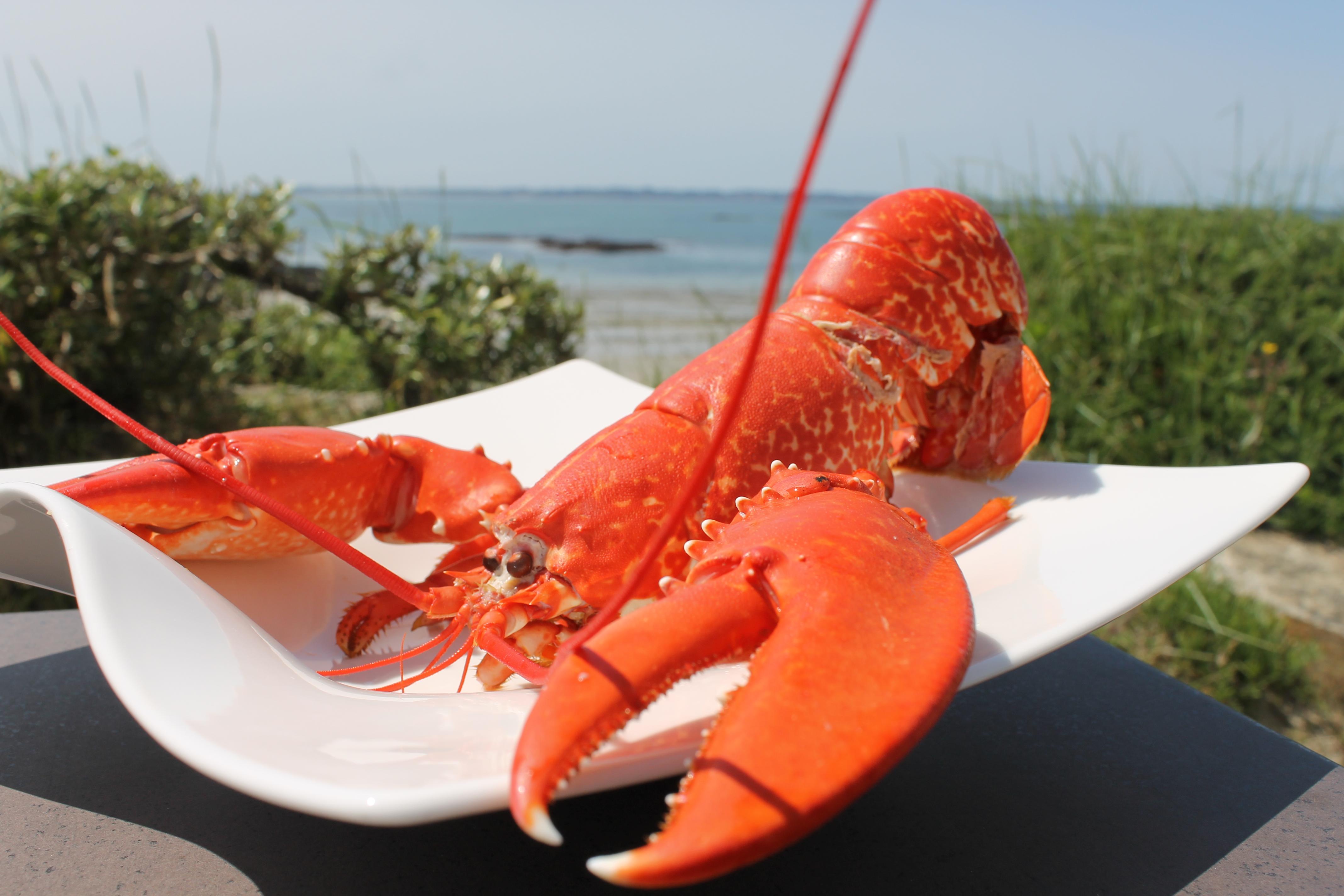 Logis Hotel & Restaurant Les Mouettes - Larmor Plage, Proche De Lorient Esterno foto