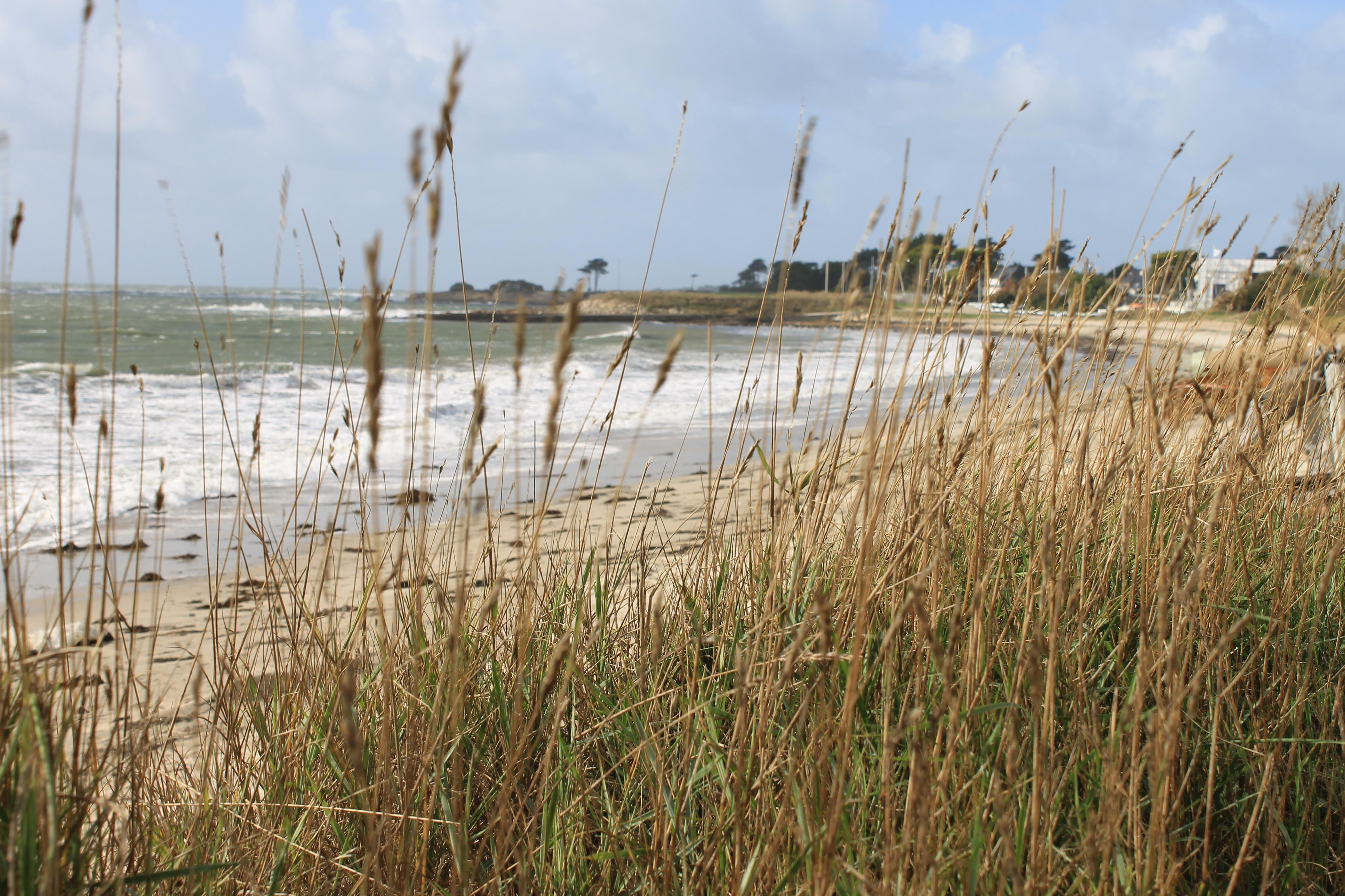 Logis Hotel & Restaurant Les Mouettes - Larmor Plage, Proche De Lorient Esterno foto