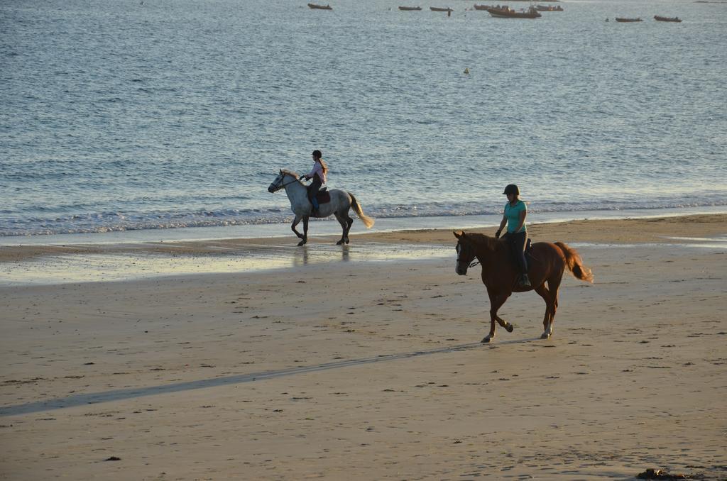 Logis Hotel & Restaurant Les Mouettes - Larmor Plage, Proche De Lorient Esterno foto