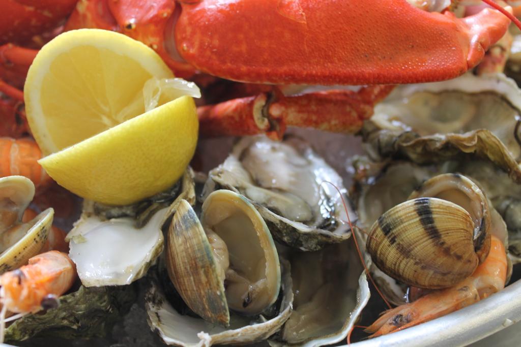 Logis Hotel & Restaurant Les Mouettes - Larmor Plage, Proche De Lorient Esterno foto